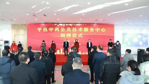 平邑中藥公共技術(shù)服務(wù)中心揭牌儀式成功舉行，助推中藥技術(shù)開(kāi)發(fā)創(chuàng)新
