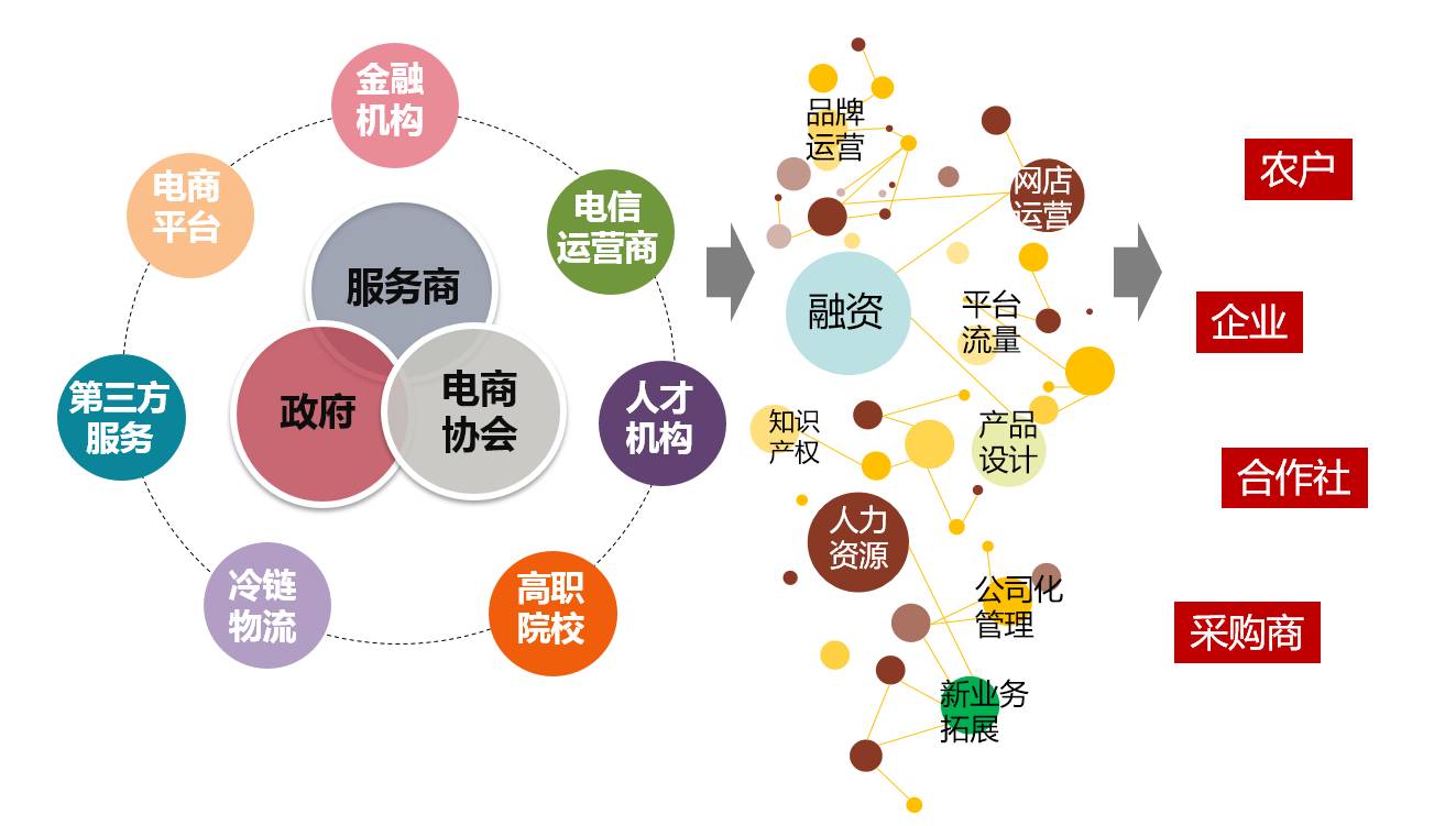 要定位，更要落地 縣域農業電商“麻陽模式”初探